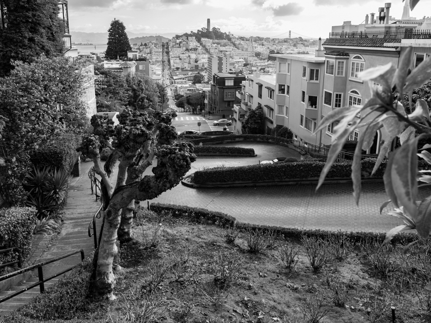 Lombard Street San Francisco black and white