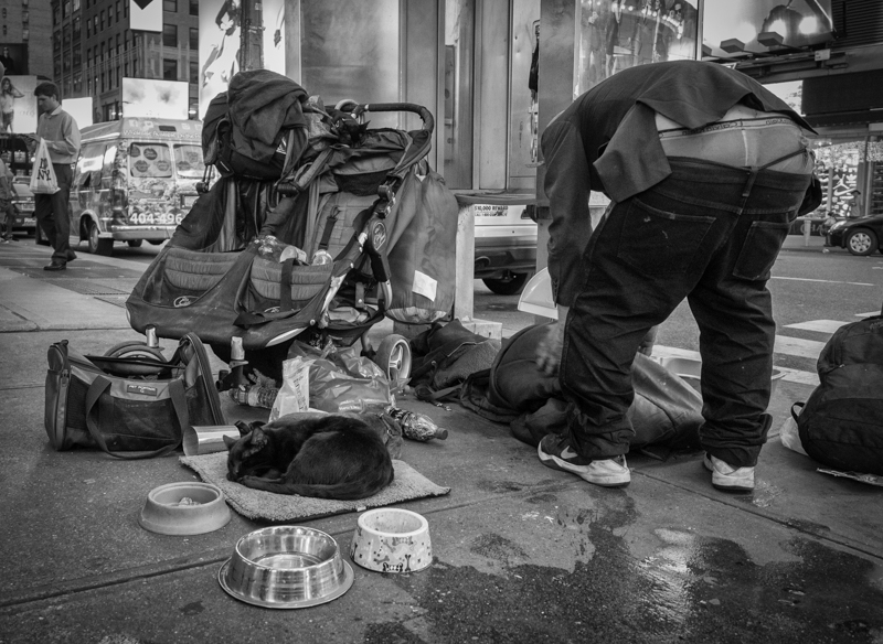 homeless man times square two cats, Megan Crandlemire Photography