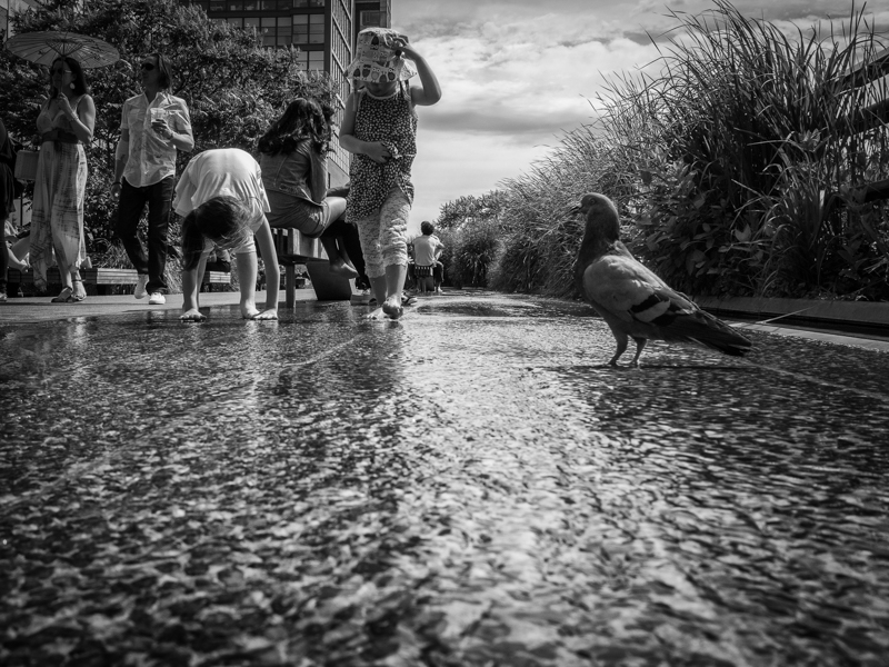 the highline water feature, Megan Crandlemire Photography